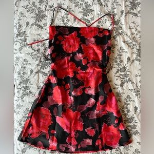 Princess Polly Dress